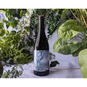 A Thousand Gods Love Letters Chilled Red