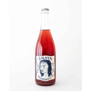Delinquente "Amaya" Negroamaro Petnat