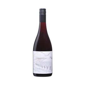 Greystone Vineyard Ferment Pinot Noir 2021