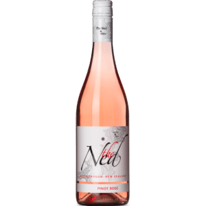 The Ned Marlborough Rose